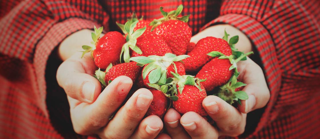 fresas, frutas de temporada, supermercados dos hermanas